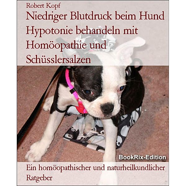 Niedriger Blutdruck beim Hund Hypotonie behandeln mit Homöopathie und Schüsslersalzen, Robert Kopf