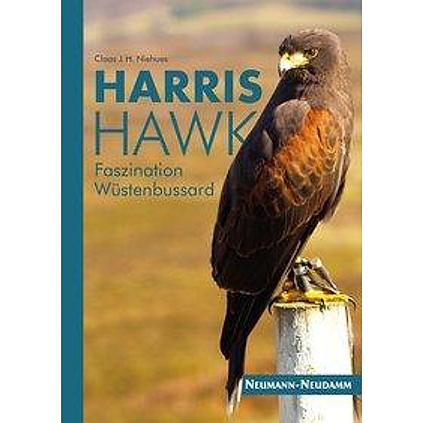 Niehues, C: Harris Hawk, Claas Niehues
