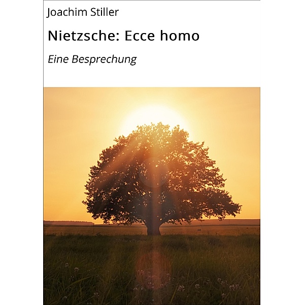 Nietzsche: Ecce homo, Joachim Stiller