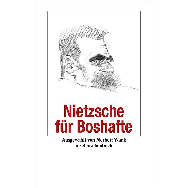 Nietzsche für Boshafte, Friedrich Nietzsche