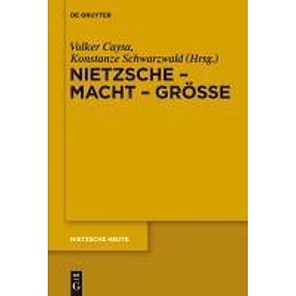 Nietzsche - Macht - Grösse / Nietzsche Heute / Nietzsche Today Bd.(2)