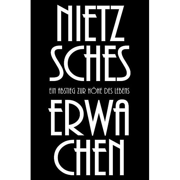 Nietzsches Erwachen, Daniel Herbst