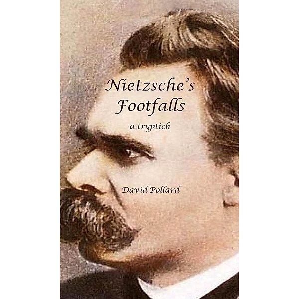 Nietzsche's Footfalls, David Pollard