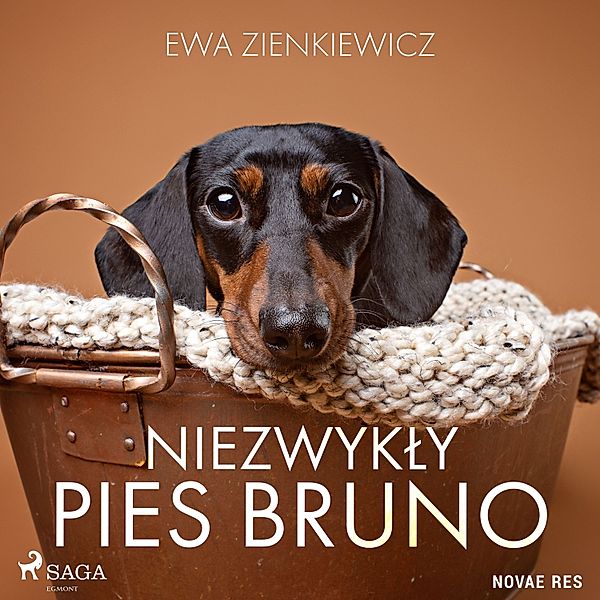 Niezwykły pies Bruno, Ewa Zienkiewicz