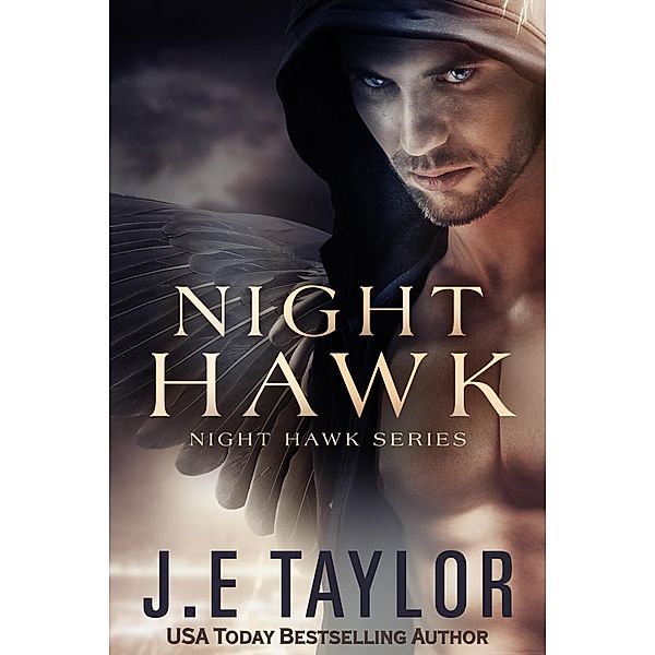 Night Hawk (Night Hawk Series, #1) / Night Hawk Series, J. E. Taylor