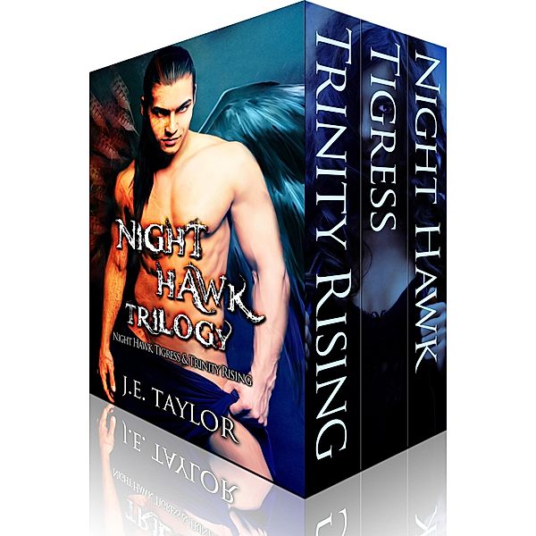 Night Hawk Trilogy (Night Hawk Series, #4) / Night Hawk Series, J. E. Taylor