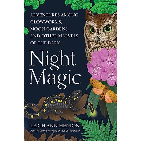 Night Magic, Leigh Ann Henion