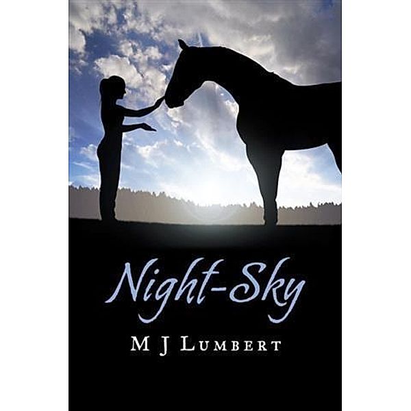 Night-Sky, M J Lumbert