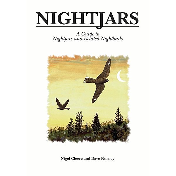 Nightjars / Helm Identification Guides, Nigel Cleere