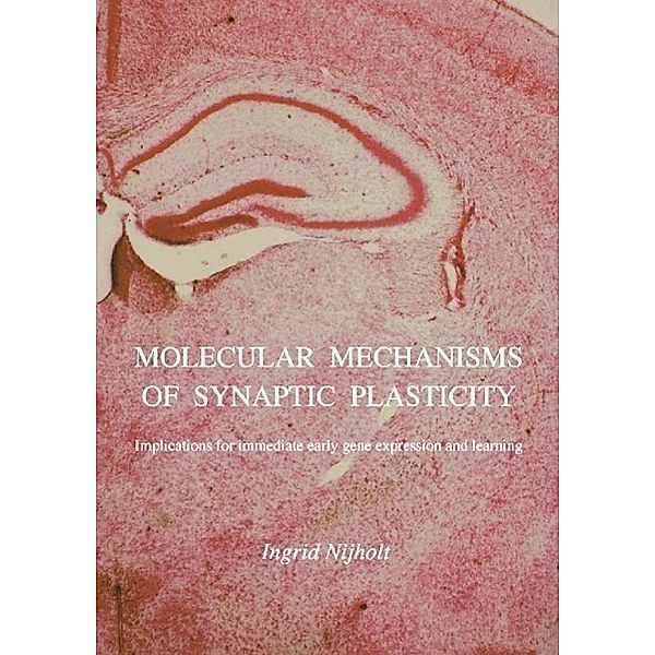 Nijholt, I: Molecular mechanisms of synaptic plasticity, Ingrid Maria Nijholt