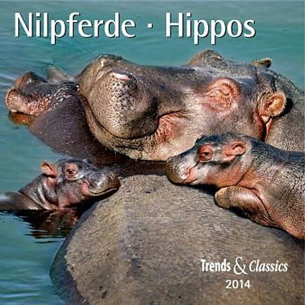 Nilpferde, Broschürenkalender 2014. Hippos