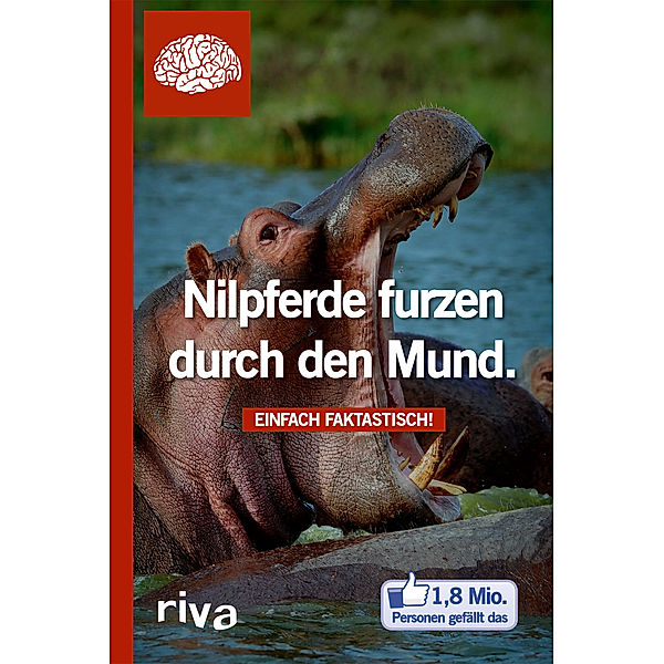 Nilpferde furzen durch Mund