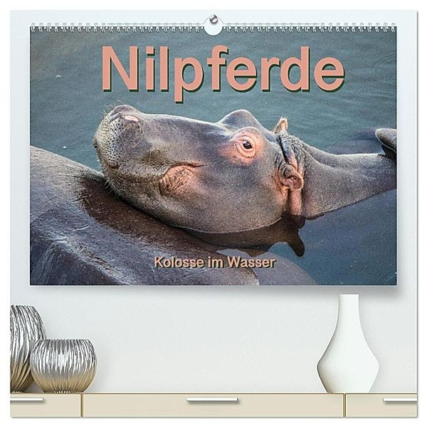Nilpferde, Kolosse im Wasser (hochwertiger Premium Wandkalender 2024 DIN A2 quer), Kunstdruck in Hochglanz, Robert und Andrea Styppa