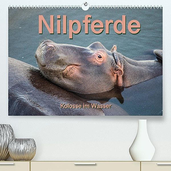 Nilpferde, Kolosse im Wasser (Premium, hochwertiger DIN A2 Wandkalender 2023, Kunstdruck in Hochglanz), Robert und Andrea Styppa