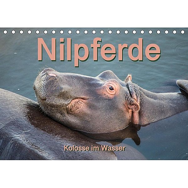 Nilpferde, Kolosse im Wasser (Tischkalender 2021 DIN A5 quer), Robert Styppa