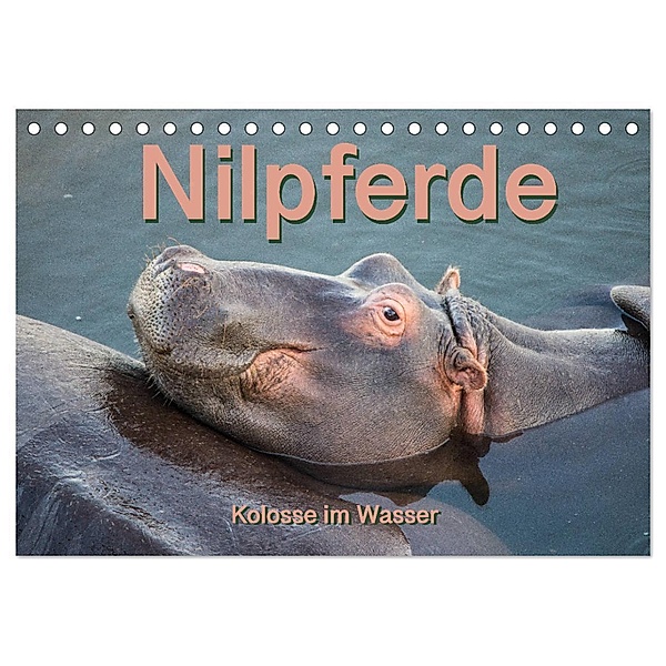 Nilpferde, Kolosse im Wasser (Tischkalender 2024 DIN A5 quer), CALVENDO Monatskalender, Robert und Andrea Styppa
