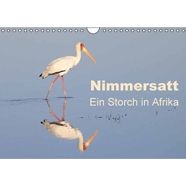 Nimmersatt - Ein Storch in Afrika (Wandkalender 2016 DIN A4 quer), Michael Herzog