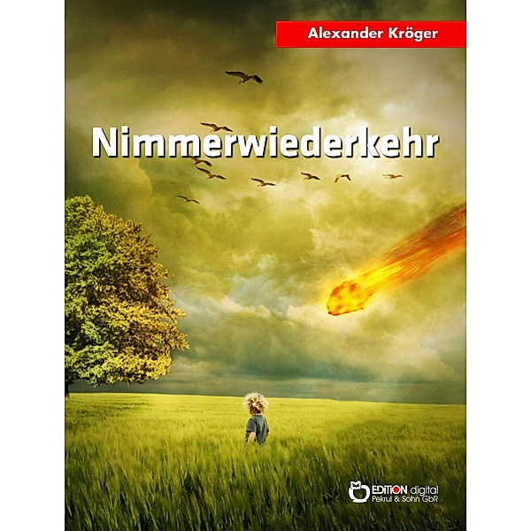 Nimmerwiederkehr / Das zweite Leben Bd.3, Alexander Kröger