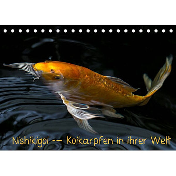 Nishikigoi - Koikarpfen in ihrer Welt (Tischkalender 2022 DIN A5 quer), Erwin Renken