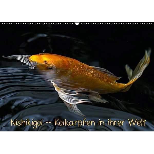 Nishikigoi - Koikarpfen in ihrer Welt (Wandkalender 2017 DIN A2 quer), Erwin Renken