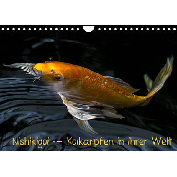 Nishikigoi - Koikarpfen in ihrer Welt (Wandkalender 2022 DIN A4 quer), Erwin Renken