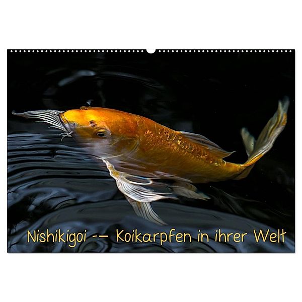 Nishikigoi - Koikarpfen in ihrer Welt (Wandkalender 2024 DIN A2 quer), CALVENDO Monatskalender, Erwin Renken