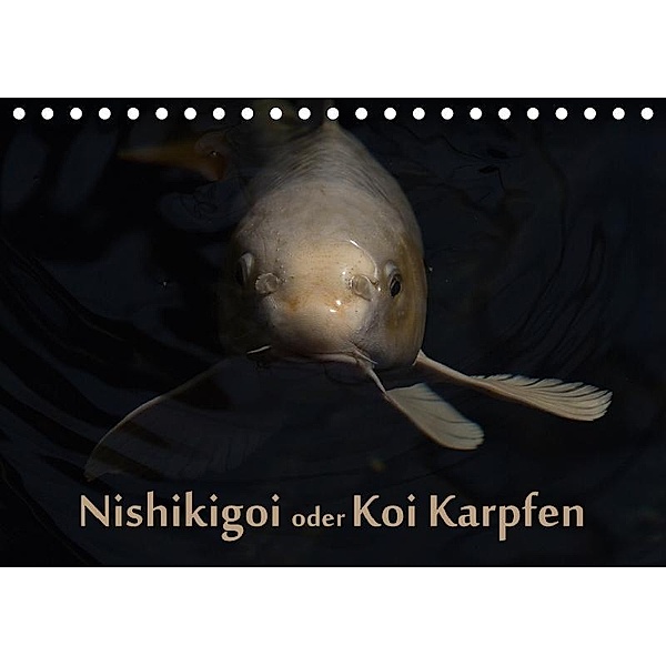 Nishikigoi oder Koi Karpfen (Tischkalender 2017 DIN A5 quer), Erwin Renken