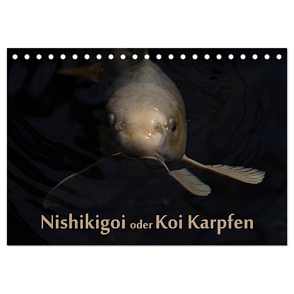 Nishikigoi oder Koi Karpfen (Tischkalender 2024 DIN A5 quer), CALVENDO Monatskalender, Erwin Renken