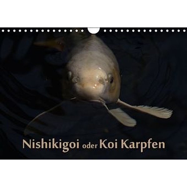 Nishikigoi oder Koi Karpfen (Wandkalender 2016 DIN A4 quer), Erwin Renken