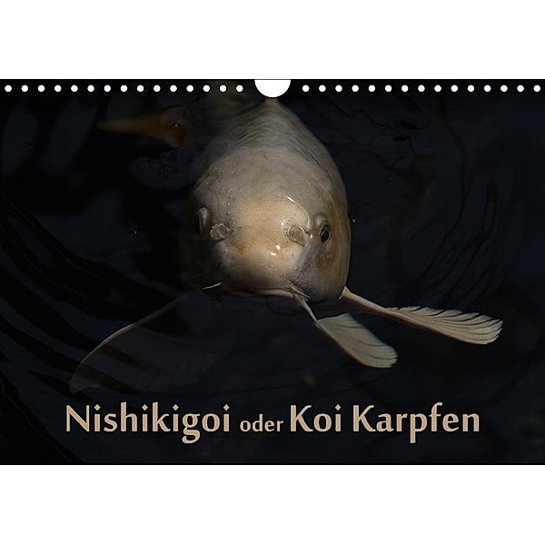 Nishikigoi oder Koi Karpfen (Wandkalender 2017 DIN A4 quer), Erwin Renken