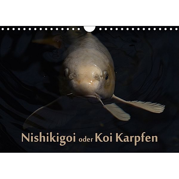 Nishikigoi oder Koi Karpfen (Wandkalender 2018 DIN A4 quer), Erwin Renken