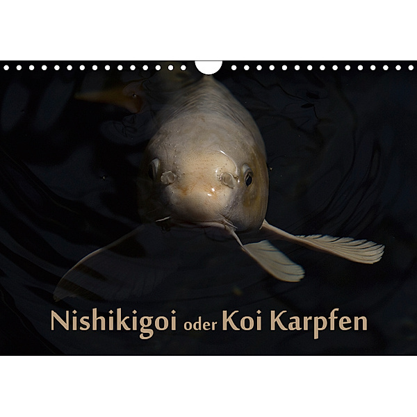 Nishikigoi oder Koi Karpfen (Wandkalender 2019 DIN A4 quer), Erwin Renken
