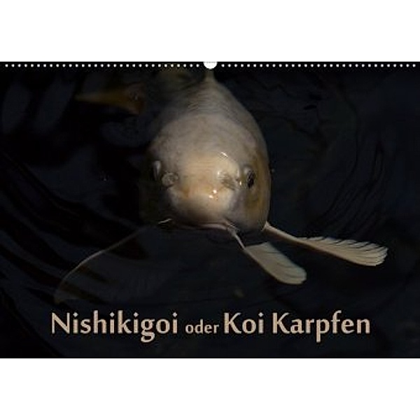 Nishikigoi oder Koi Karpfen (Wandkalender 2020 DIN A2 quer), Erwin Renken