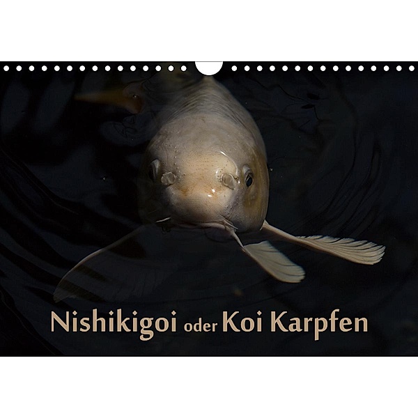 Nishikigoi oder Koi Karpfen (Wandkalender 2021 DIN A4 quer), Erwin Renken