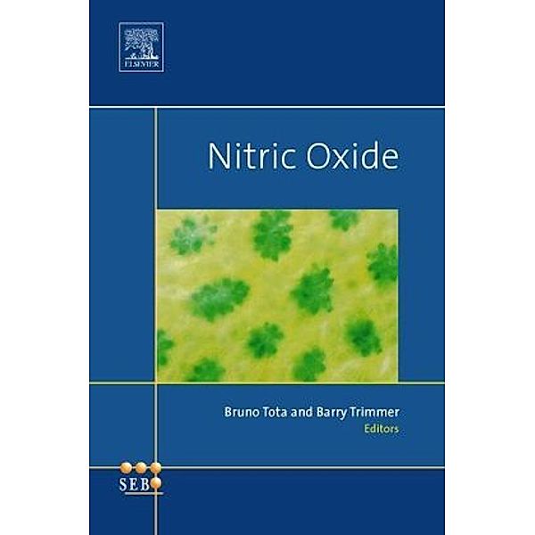 Nitric Oxide