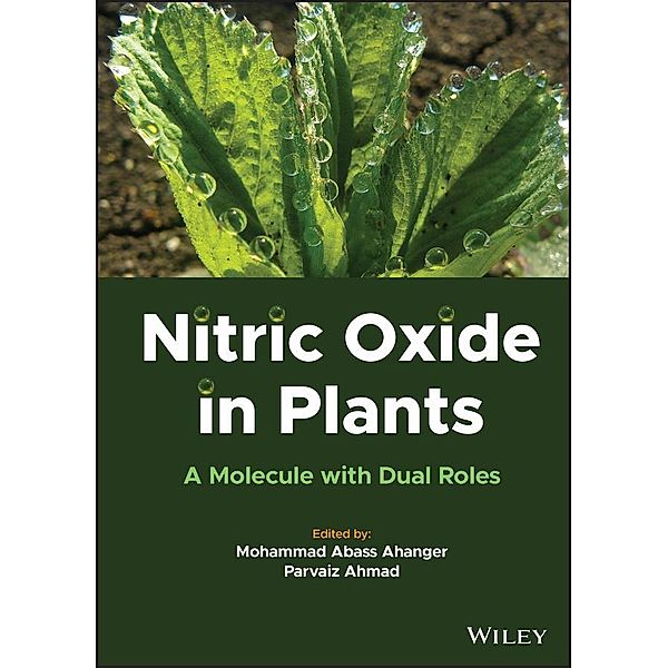 Nitric Oxide in Plants