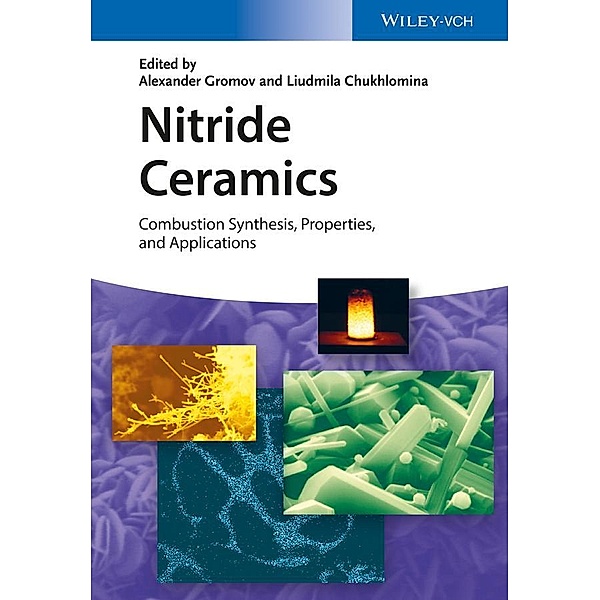 Nitride Ceramics