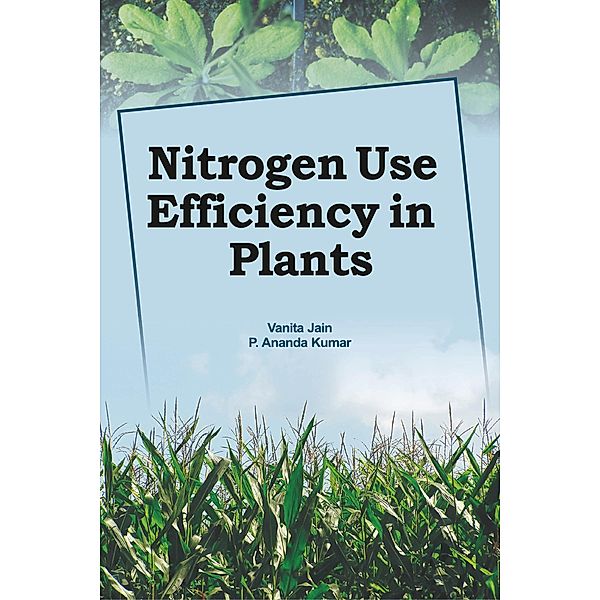 Nitrogen Use Efficiency In Plants