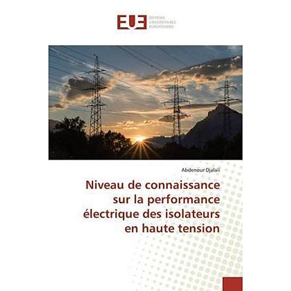 Niveau de connaissance sur la performance électrique des isolateurs en haute tension, Abdenour Djalali