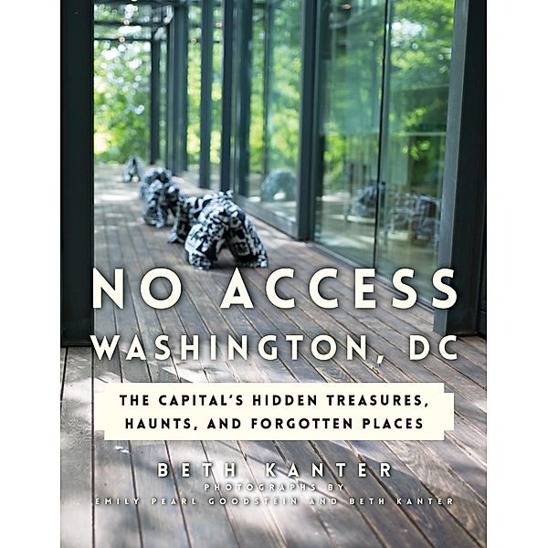No Access Washington, DC, Beth Kanter