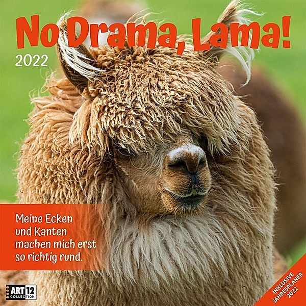 No Drama, Lama! Kalender 2022 - 30x30