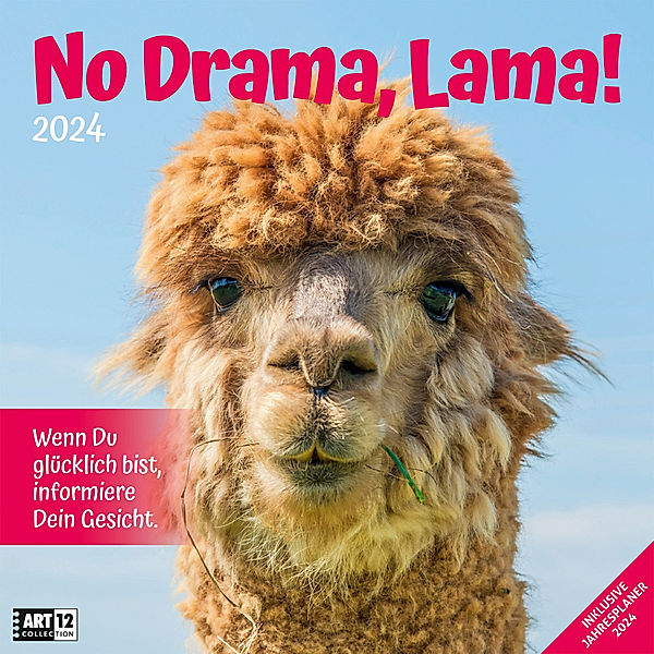No Drama, Lama! Kalender 2024 - 30x30, Ackermann Kunstverlag