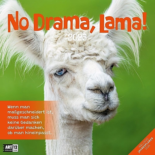 No Drama, Lama! Kalender 2025 - 30x30, Ackermann Kunstverlag