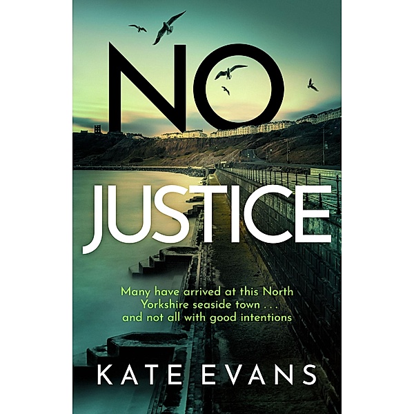 No Justice / DC Donna Morris, Kate Evans