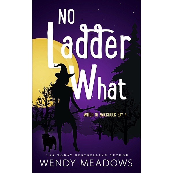 No Ladder What (Witch of Wickrock Bay, #4) / Witch of Wickrock Bay, Wendy Meadows