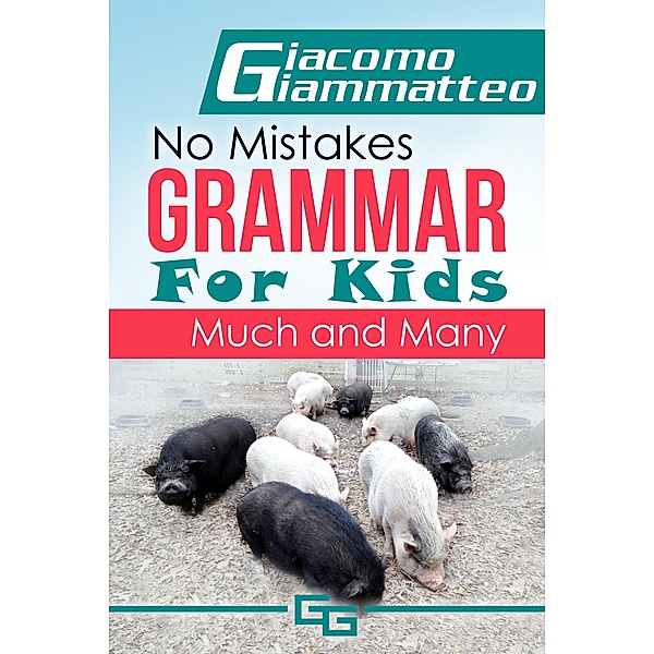 No Mistakes Grammar for Kids / No Mistakes Grammar for Kids Bd.6, Giacomo Giammatteo