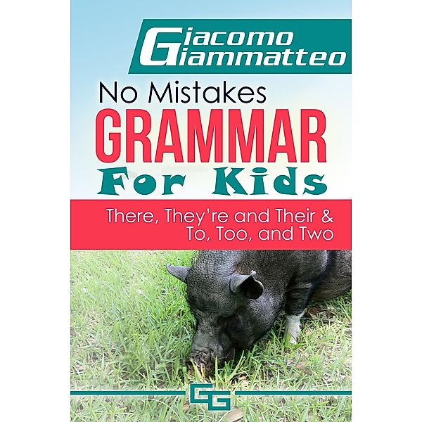 No Mistakes Grammar for Kids, Volume V / No Mistakes Grammar for Kids Bd.5, Giacomo Giammatteo