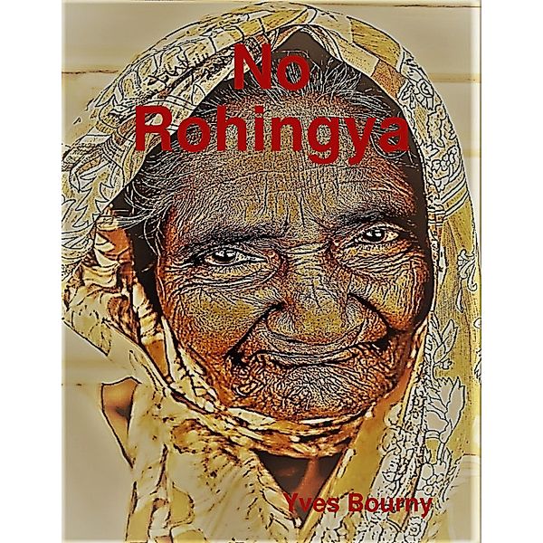 No Rohingya, Yves Bourny