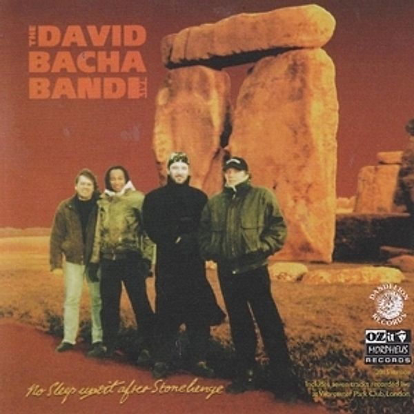 No Sleep Until Stonehenge, David Band Bacha