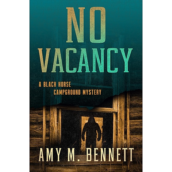 No Vacancy / Black Horse Campground Mysteries, Amy M Bennett
